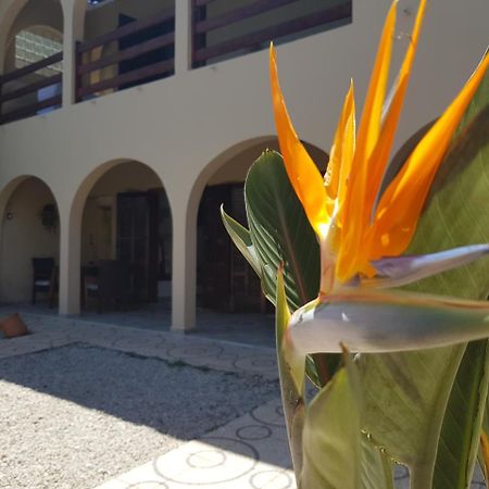 Santo Quintal Hostel Ubatuba Dış mekan fotoğraf
