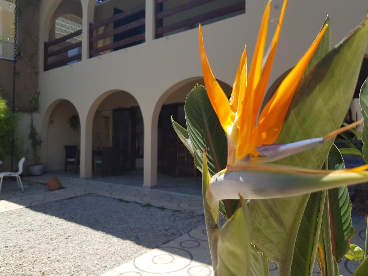 Santo Quintal Hostel Ubatuba Dış mekan fotoğraf